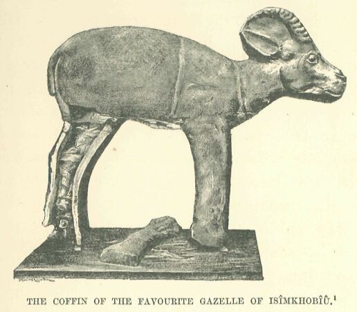 027.jpg the Coffin of The Favourite Gazelle Of IsÎmkhobiu 