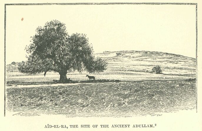 324.jpg AÎd-el-ra, the Site of The Ancient Adullam 