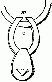 Fig. 37—Fasten the pendant on the ring.