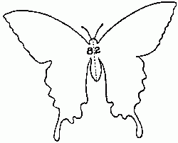 Fig. 82—Pattern of butterfly.