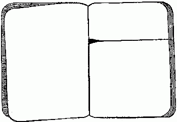 Fig. 123—Transformation scrap-book with pages cut.