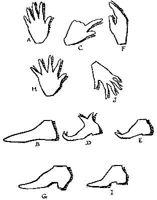 Fig. 144—Hands and feet.