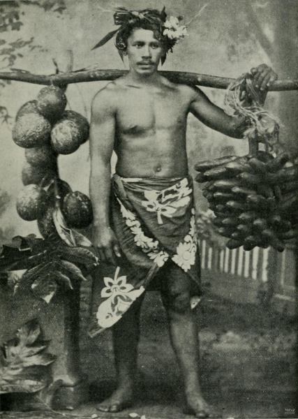 A TYPICAL TAHITIAN WITH HIS BURDEN OF BREAD FRUIT AND FEII.