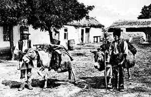 Rumänische Hausierer mit ihren Eseln
